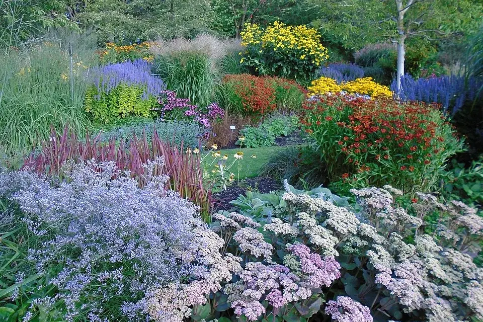 Gothenburg Botanical Garden