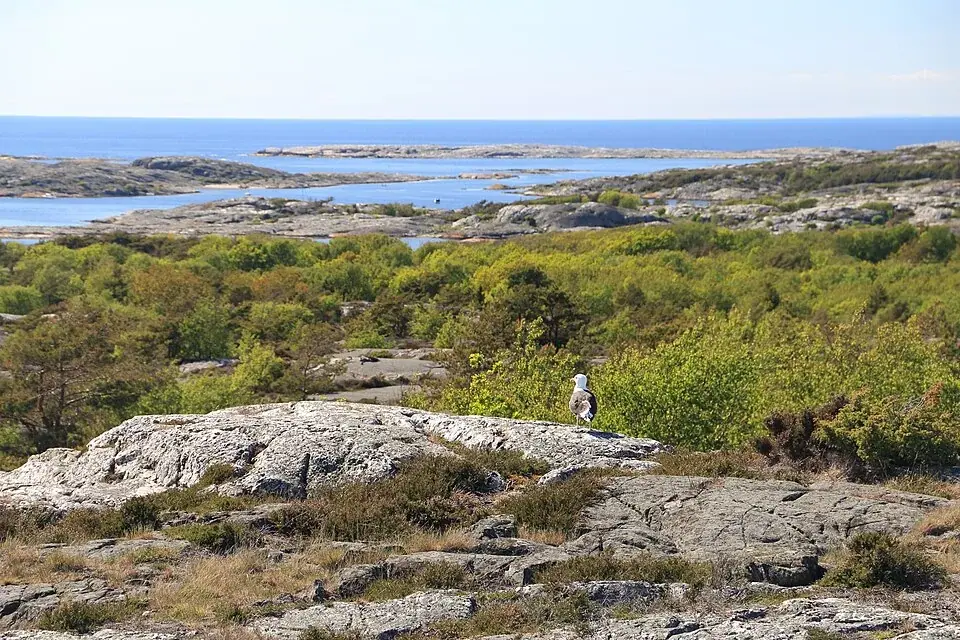 Kosterhavet National Park