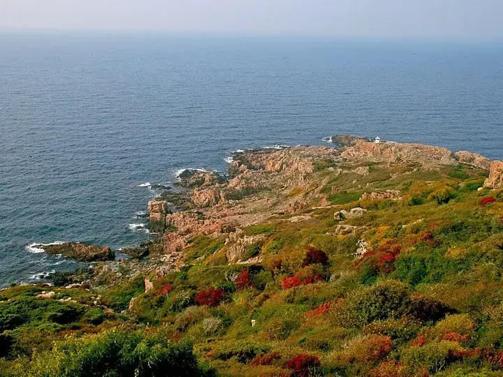 Kullaberg Nature Reserve