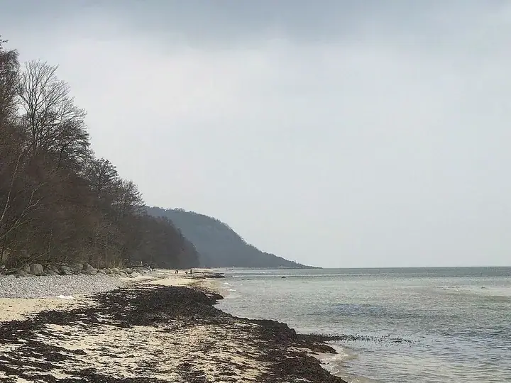 Stenshuvud National Park
