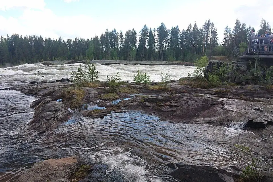 Storforsen Nature Reserve