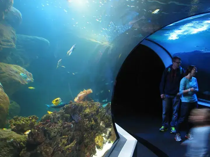 Universeum