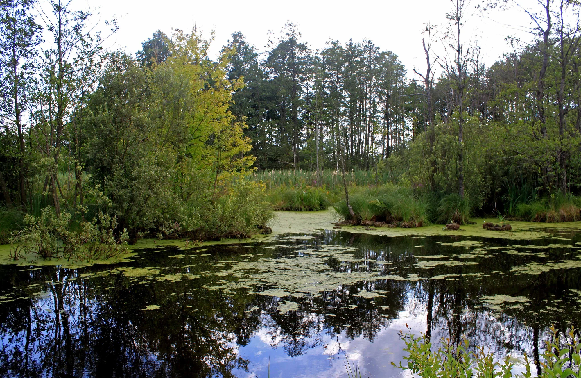Shatsk Lakes
