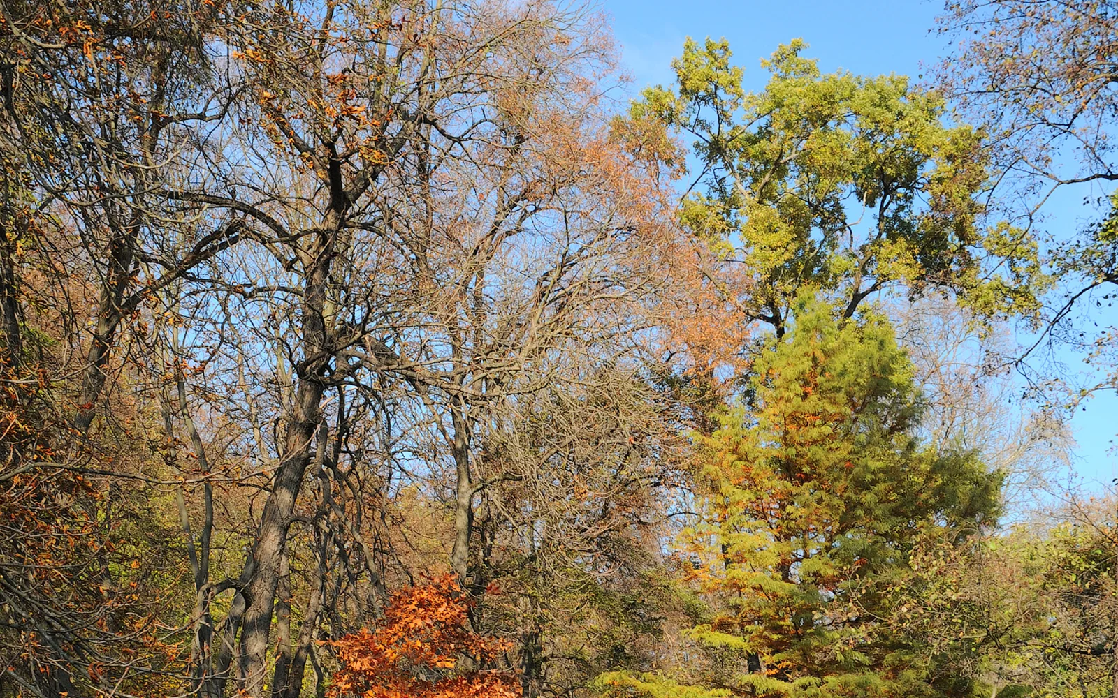 Sofiyivka Park, Uman