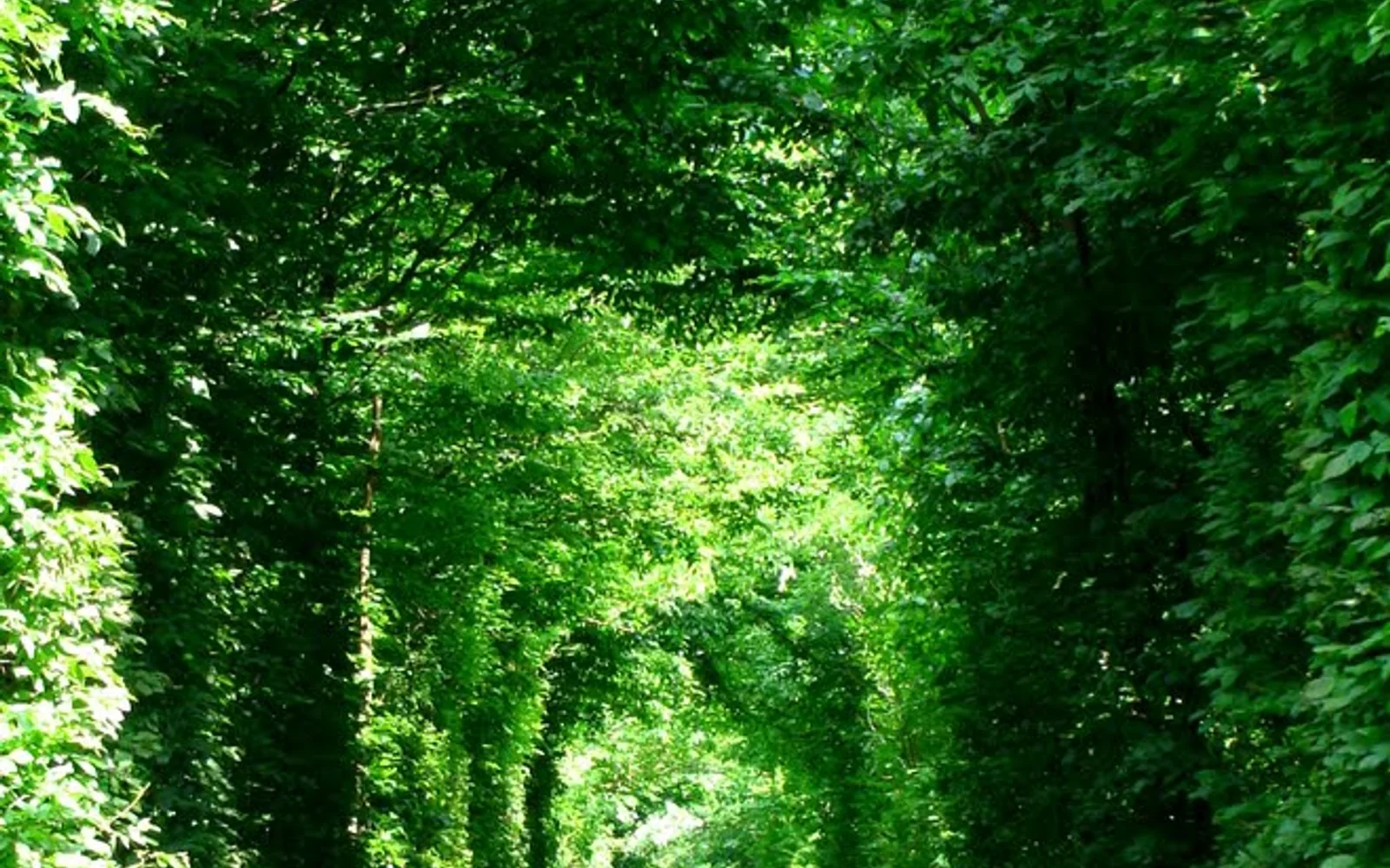 Tunnel of Love, Klevan